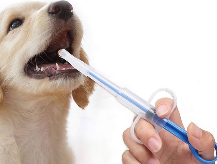 Pet Prescription Refills
