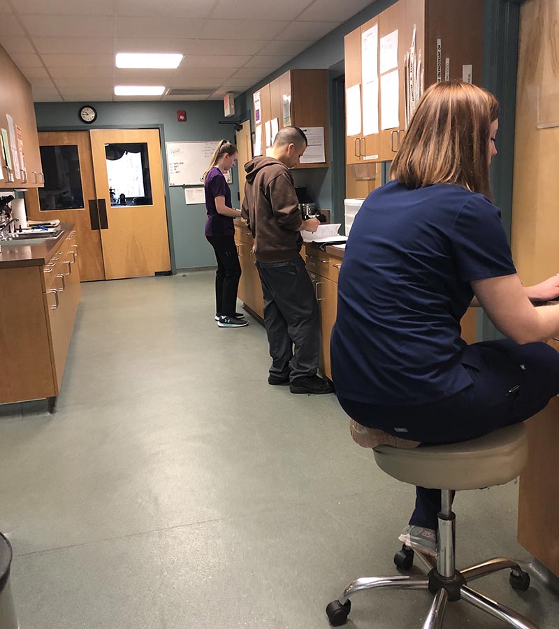 Fayetteville Veterinary Careers