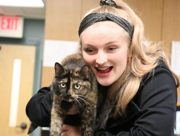 Preventive Care for Cats